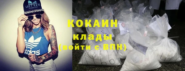 гидра Верхний Тагил