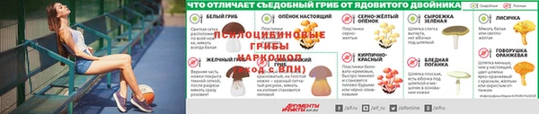 mdpv Верея