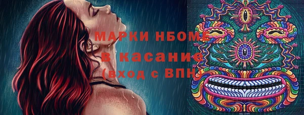 крисы Медвежьегорск