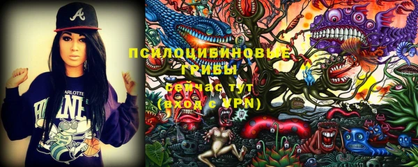 крисы Медвежьегорск