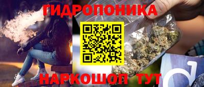 Альфа ПВП Камышлов