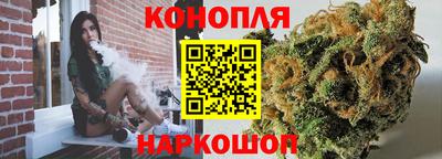 Альфа ПВП Камышлов