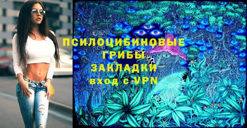 Псилоцибиновые грибы MAGIC MUSHROOMS  мориарти состав  Карабулак 