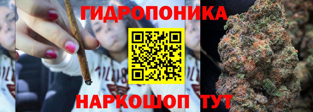 Конопля планчик Карабулак